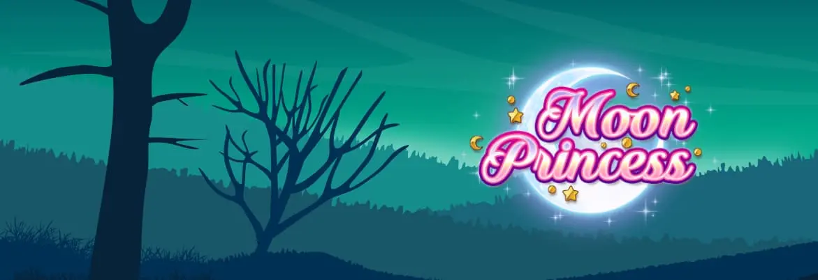 Moon Princess online slot features